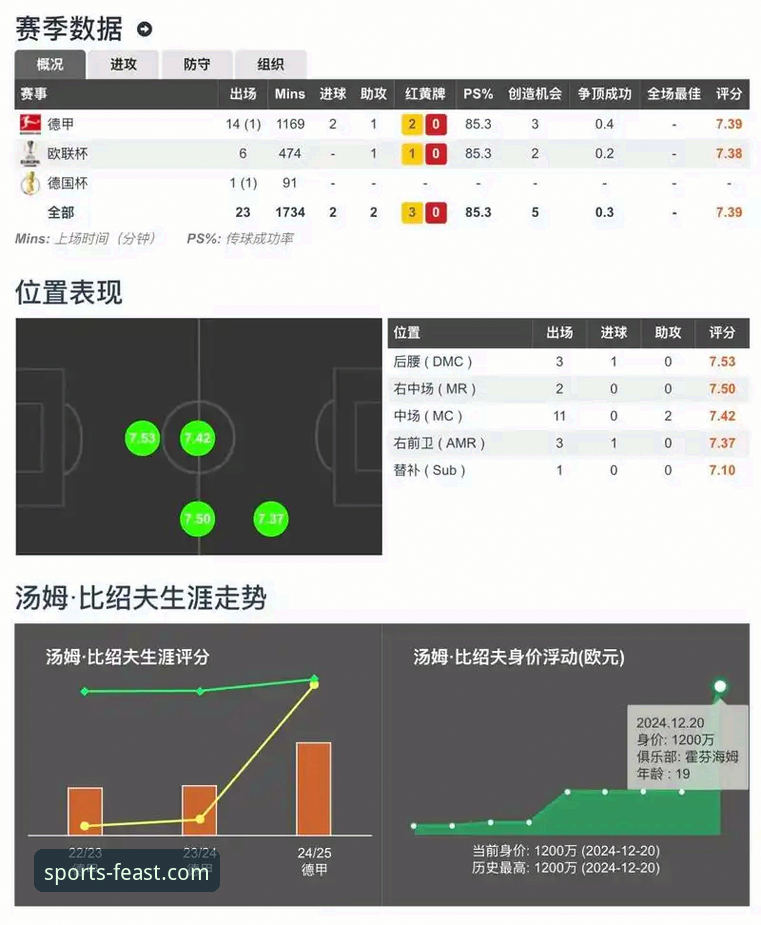球盟会体育赛事分析全面解析：从数据到决策的深度洞察